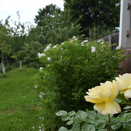 Apartman Mira Сараево Екстериор снимка